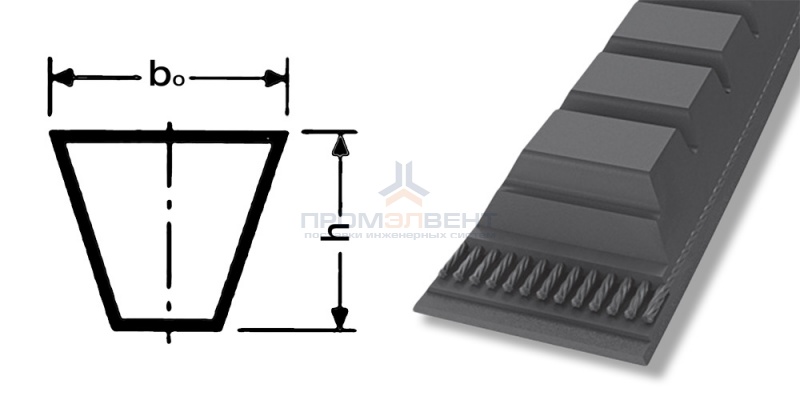 ремень xpa 2282