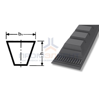 ремень xpa 2882