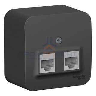 Розетка 2-ая компьютерная RJ45 кат.5E Blanca Schneider Electric антрацит изол.пластина
